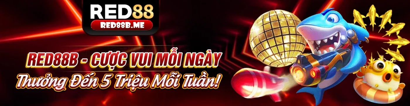 Ứng dụng Onbet3 trên điện thoại di động, trải nghiệm cá cược